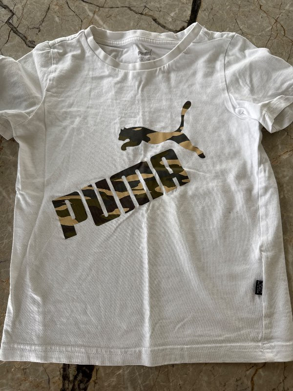Puma bolur