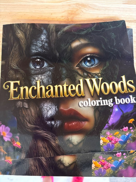 Enchanted litabok