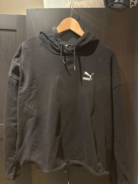 Black puma