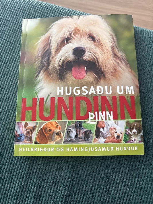Hugsaðu um hundinn þinn