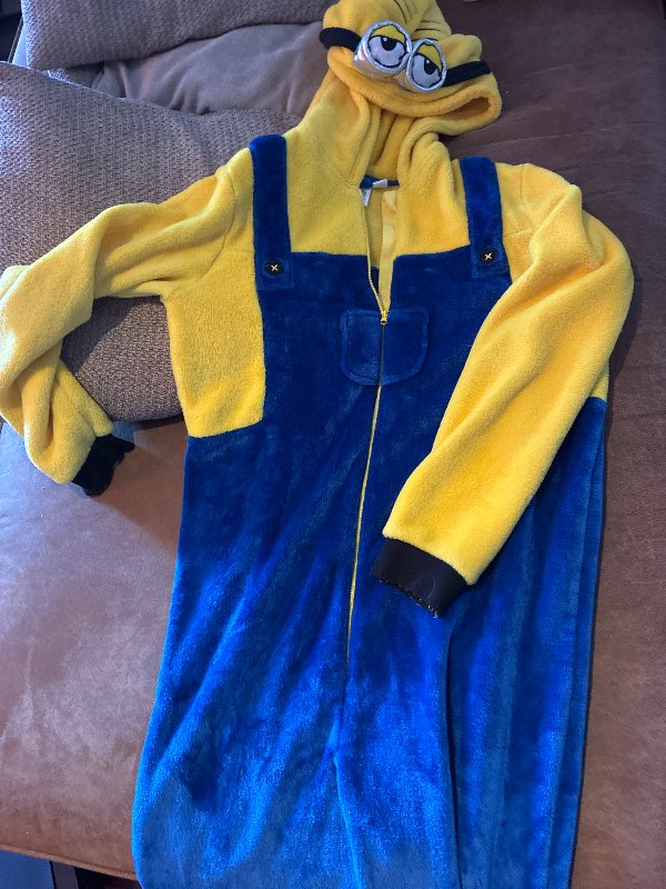 Minions galli